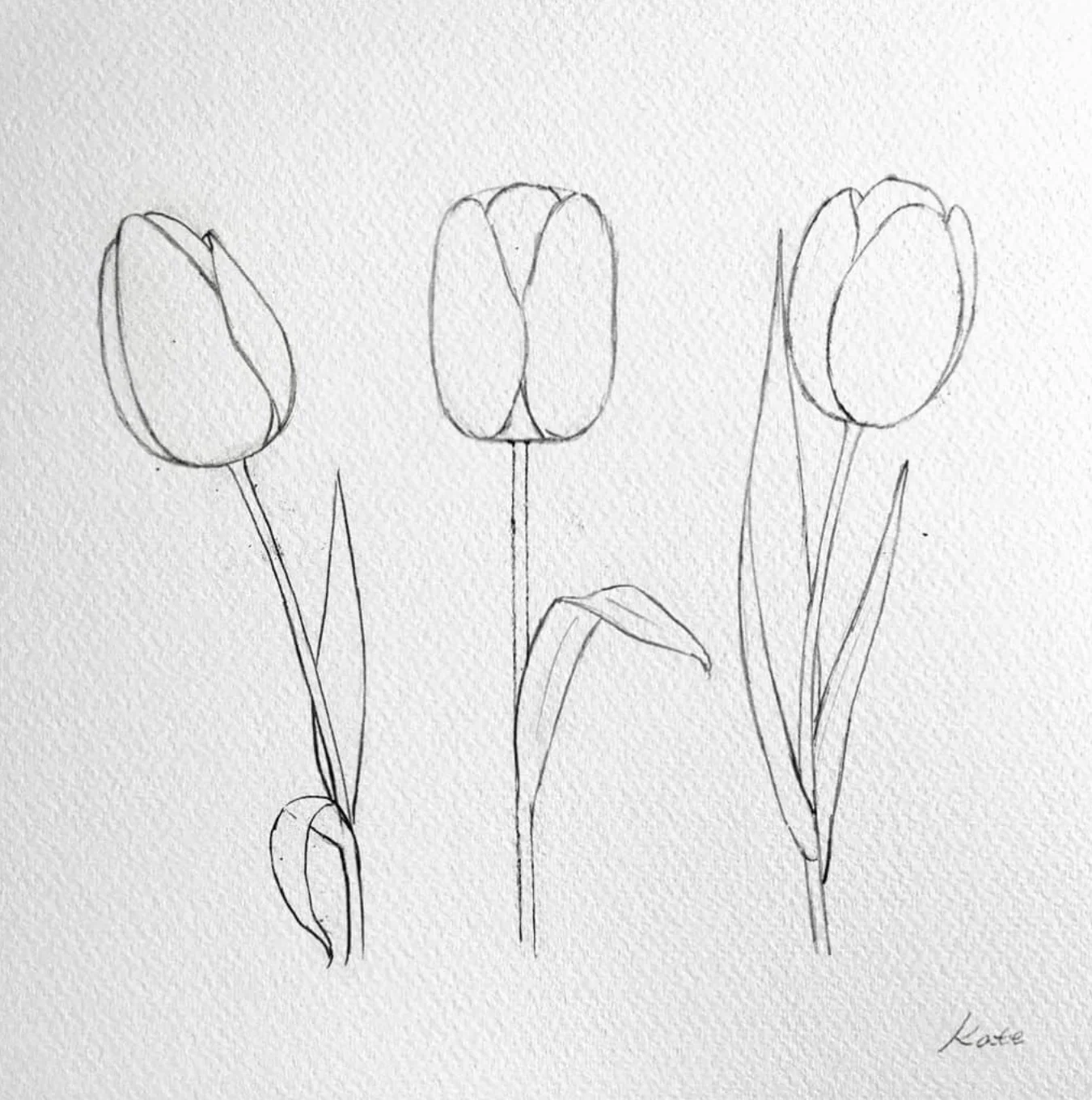 Нарисовать рисунок тюльпаны. Тюльпаны для срисовывания. Тюльпаны карандашом. Тюльпаны рисунок карандашом. Рисунки карандашом цветы для начинающих.