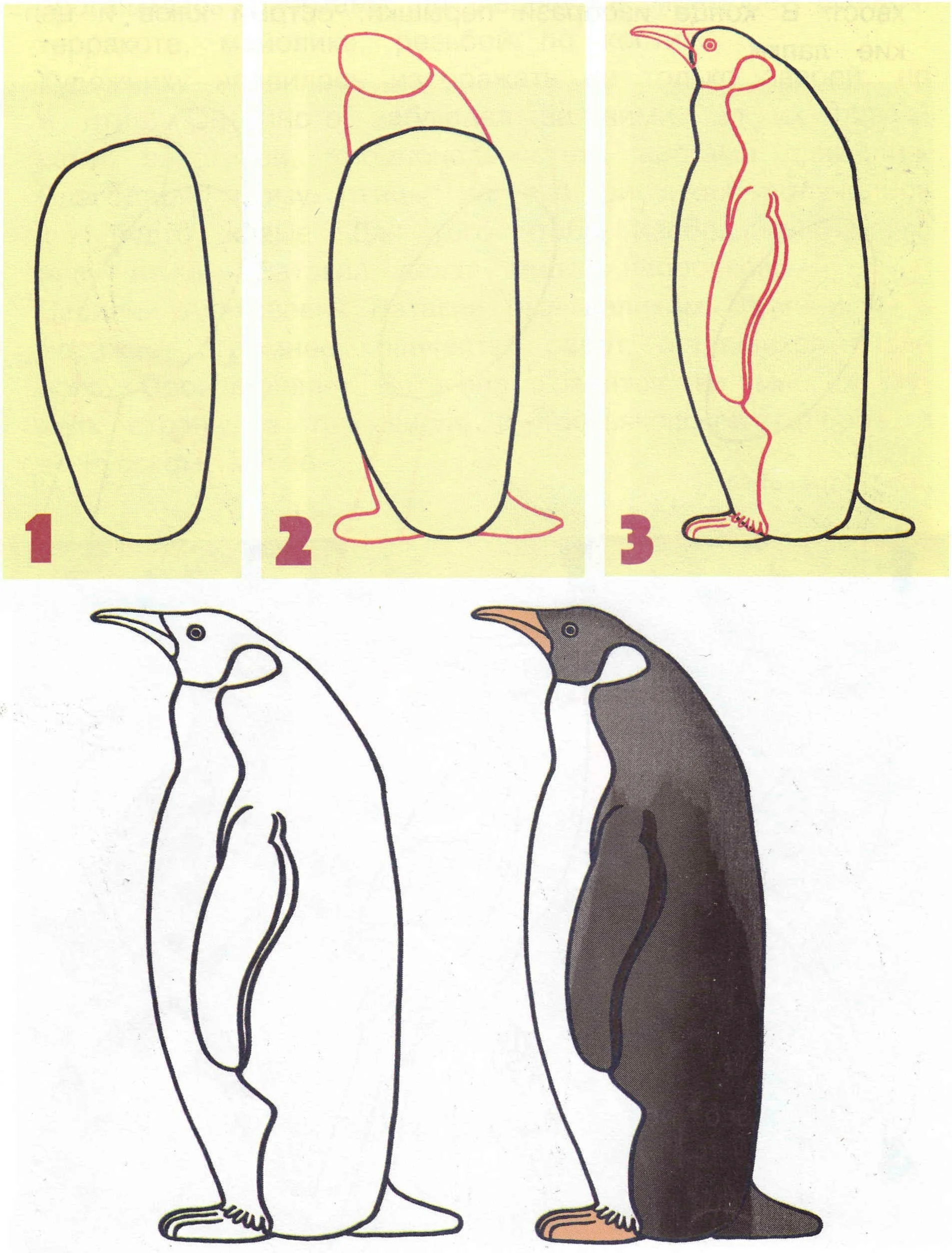 Поэтапное рисование пингвина для дошкольников. Нарисовать пингвина карандашом поэтапно для детей. Пингвин пошаговое рисование. Пингвин пошаговое рисование для детей.