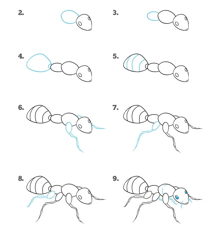 Поэтапное рисование насекомых. Муравей рисунок карандашом. Поэтапное рисование муравья. Нарисовать муравья.