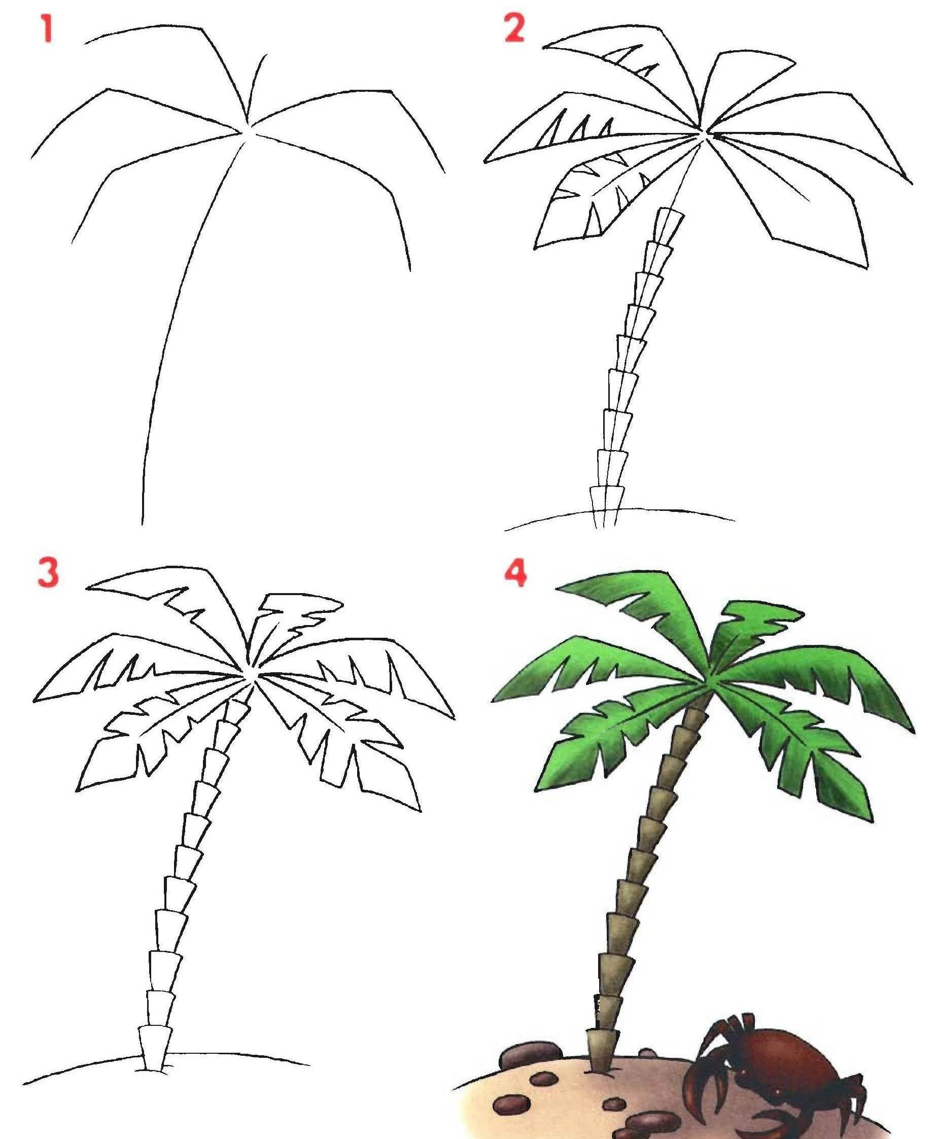 Рисунок пальмы карандашом для начинающих поэтапно картинки