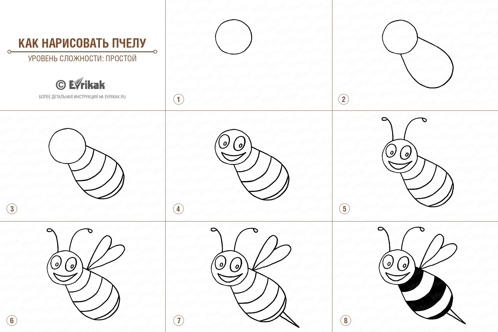 Нарисовать пчелу поэтапно карандашом