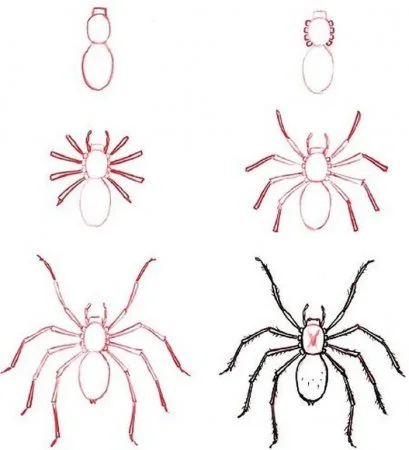 Как нарисовать паука поэтапно карандашом