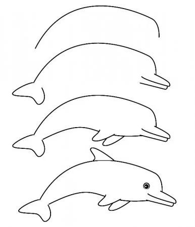Как нарисовать дельфина поэтапно карандашом