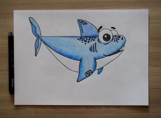 Как нарисовать акулу поэтапно карандашом