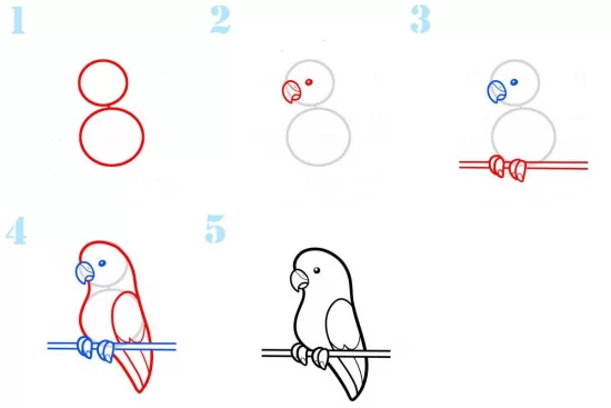 Как нарисовать попугая поэтапно карандашом