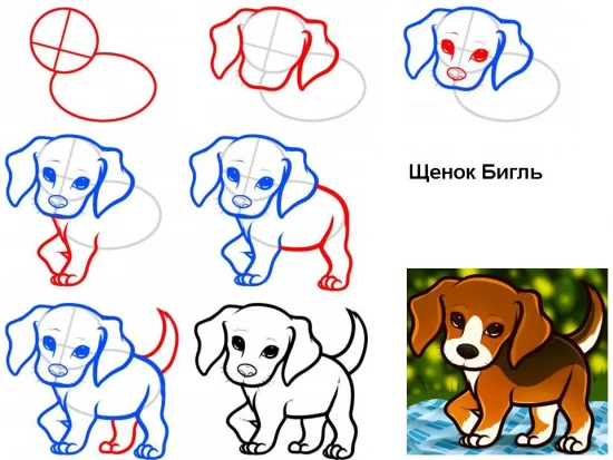 Как нарисовать щенка поэтапно карандашом