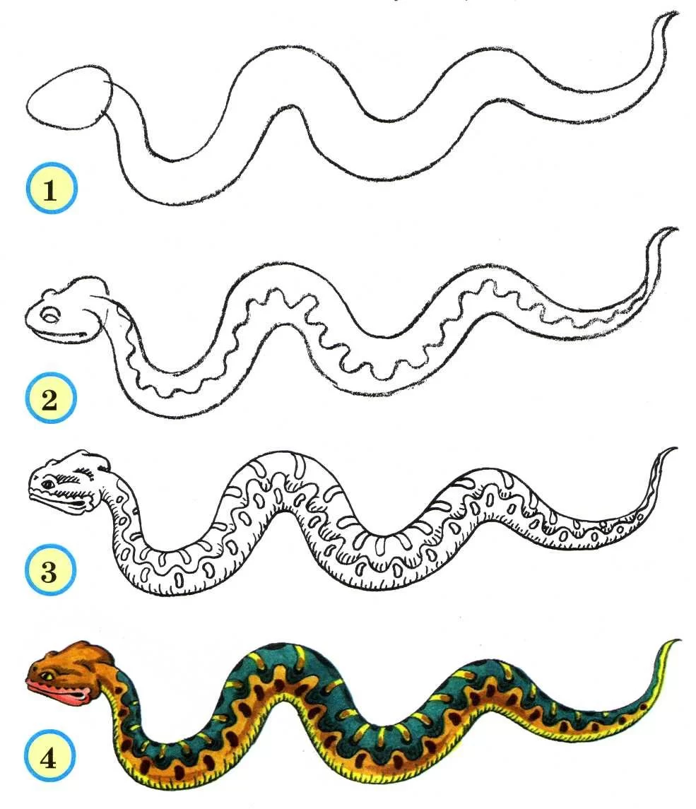 Змейка пошагово. Как нарисовать змею. Рисунок змеи карандашом для срисовки. Поэтапное рисование змеи для детей. Как нарисовать змею для детей.